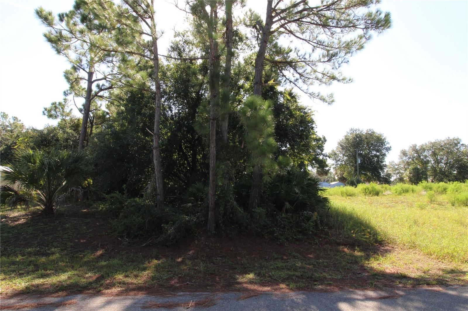 CHAMRADE RD - Photo 1