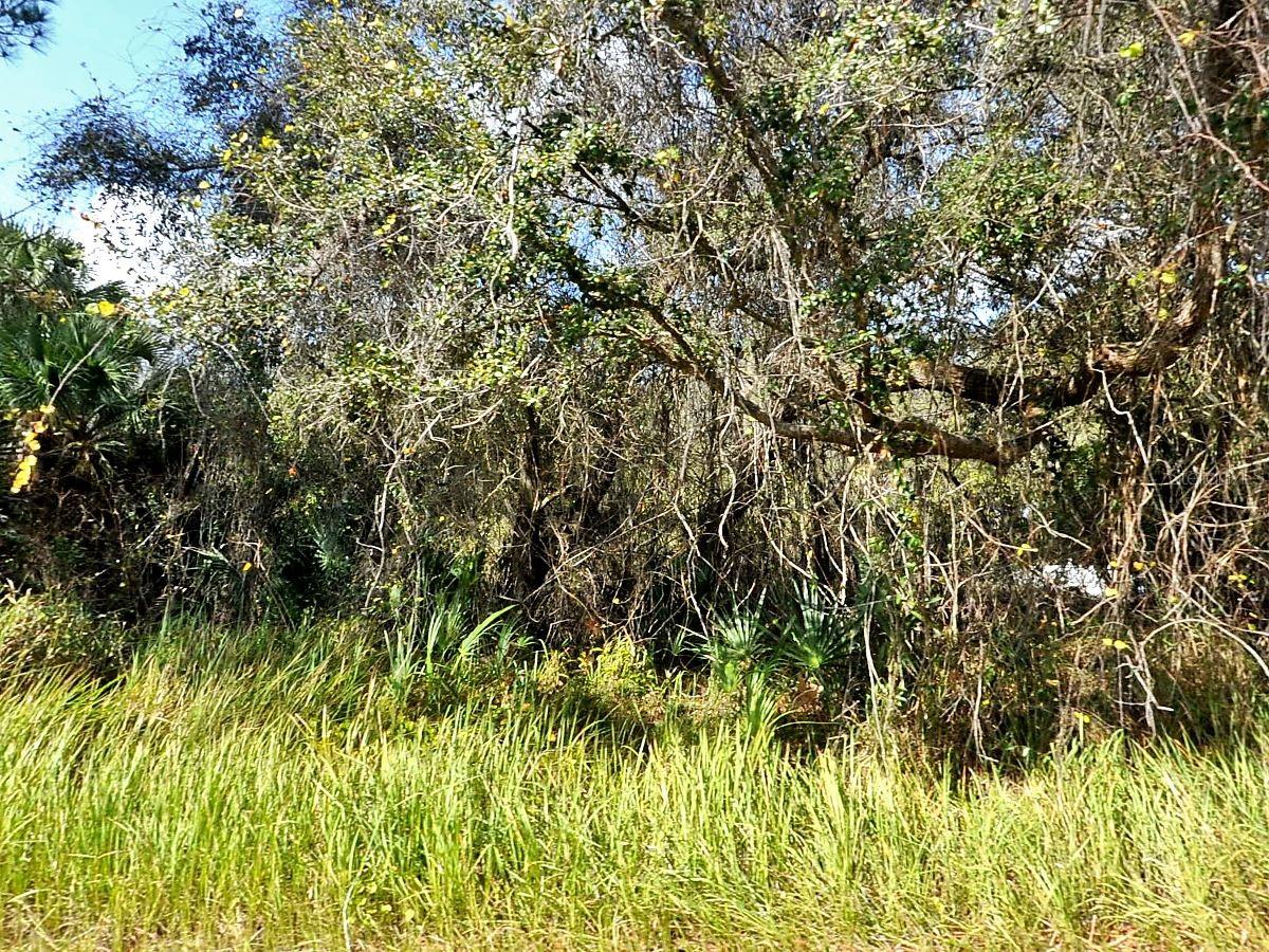 KACHER RD - Photo 1