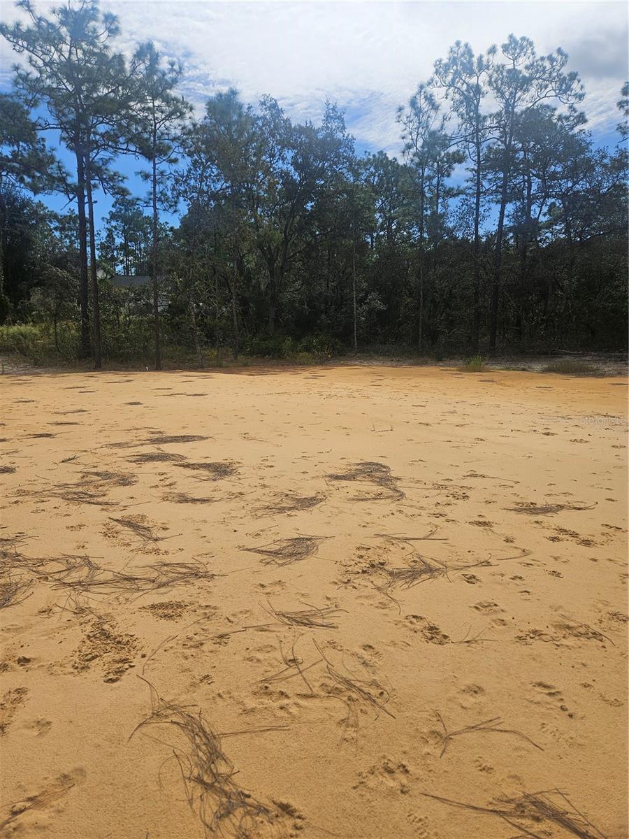 33216 TEAKWOOD DR - Photo 1
