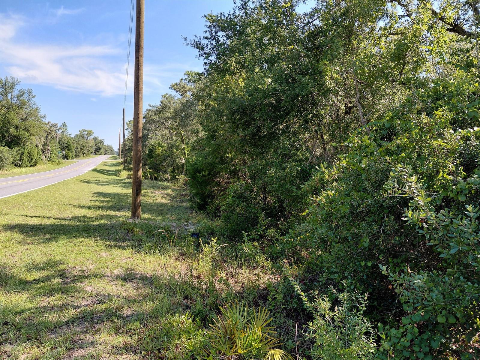 WHEYSTONE DR - Photo 1