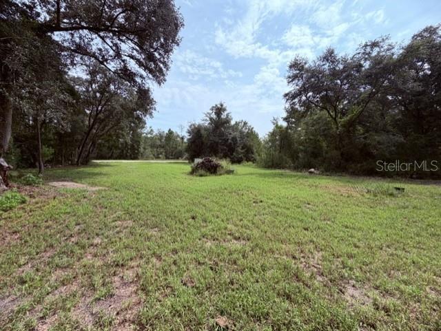 35356 KRAMER ST - Photo 1