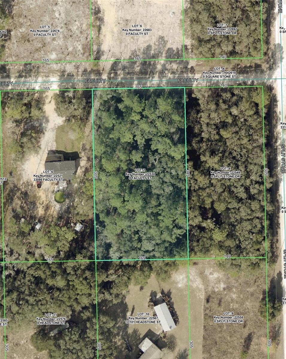 33104 FACULTY ST - Photo 1