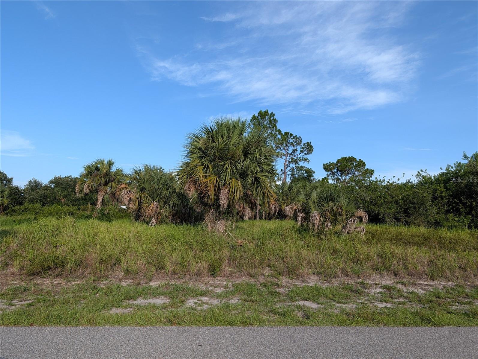 DELWOOD DR - Photo 1