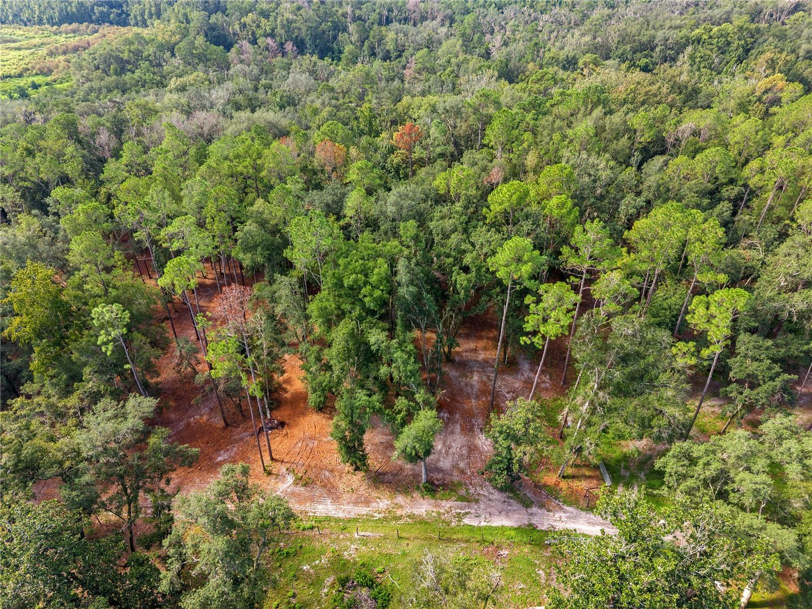 1050 KATIE WOOD TRL - Photo 1