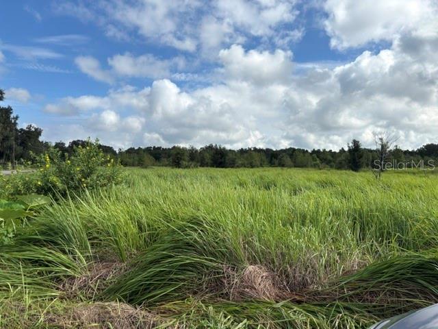 WALTER HUNTER RD #Lot 1 - Photo 1