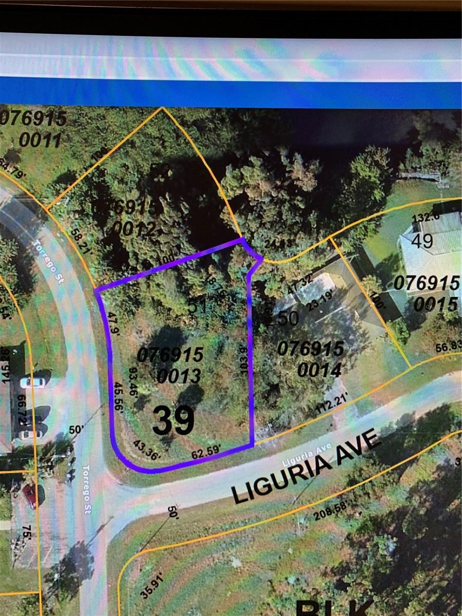 LOT 51 MAJORCA PL - Photo 1