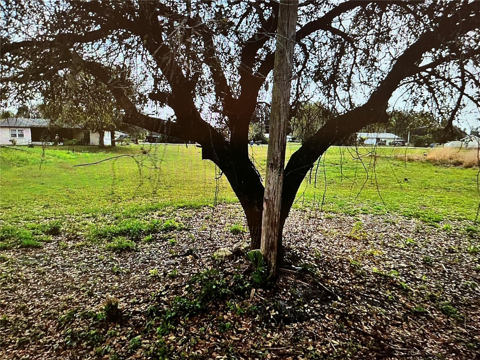 LOT 62&63 HERNANDO RD - Photo 1