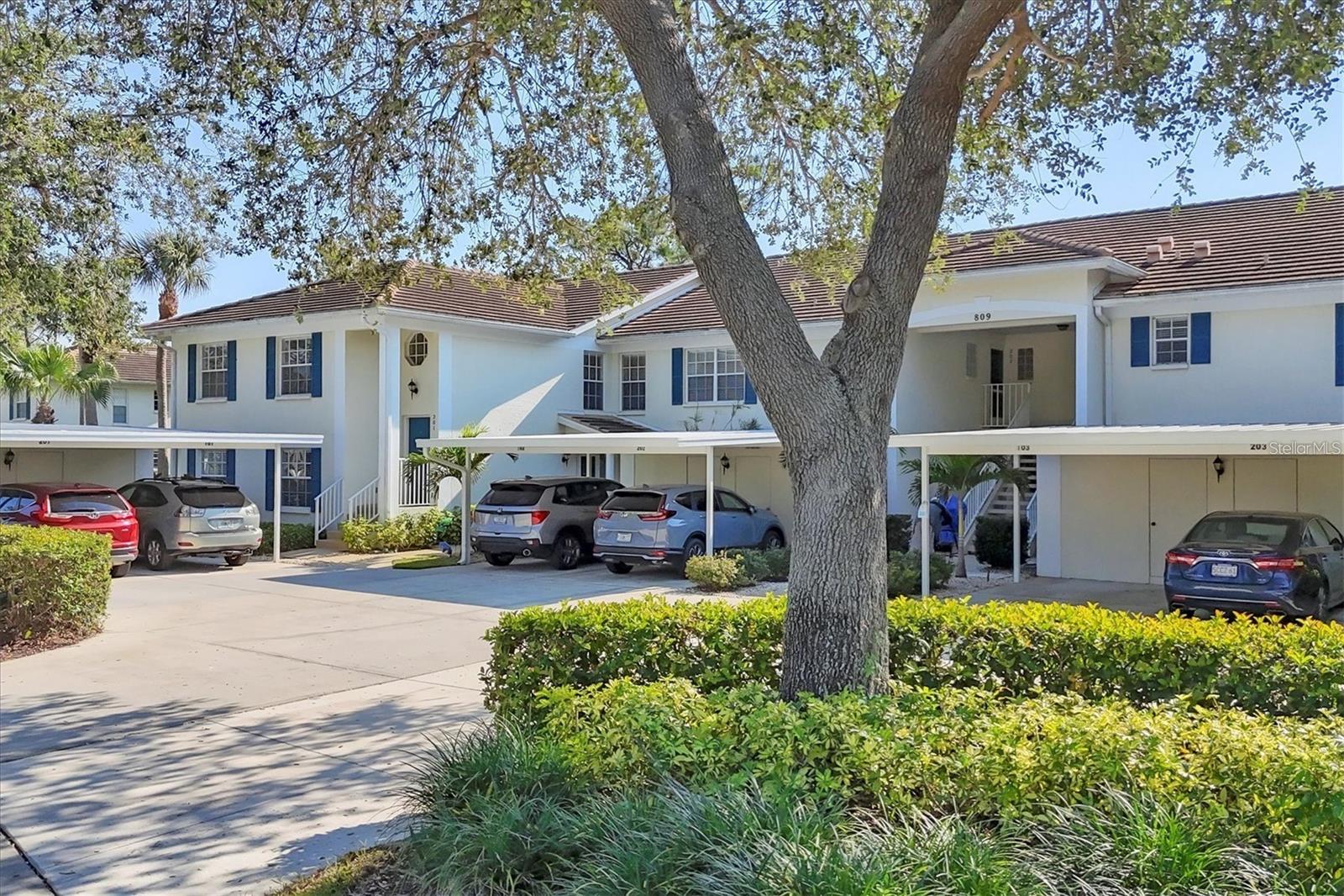 809 MONTROSE DR #203 - Photo 1
