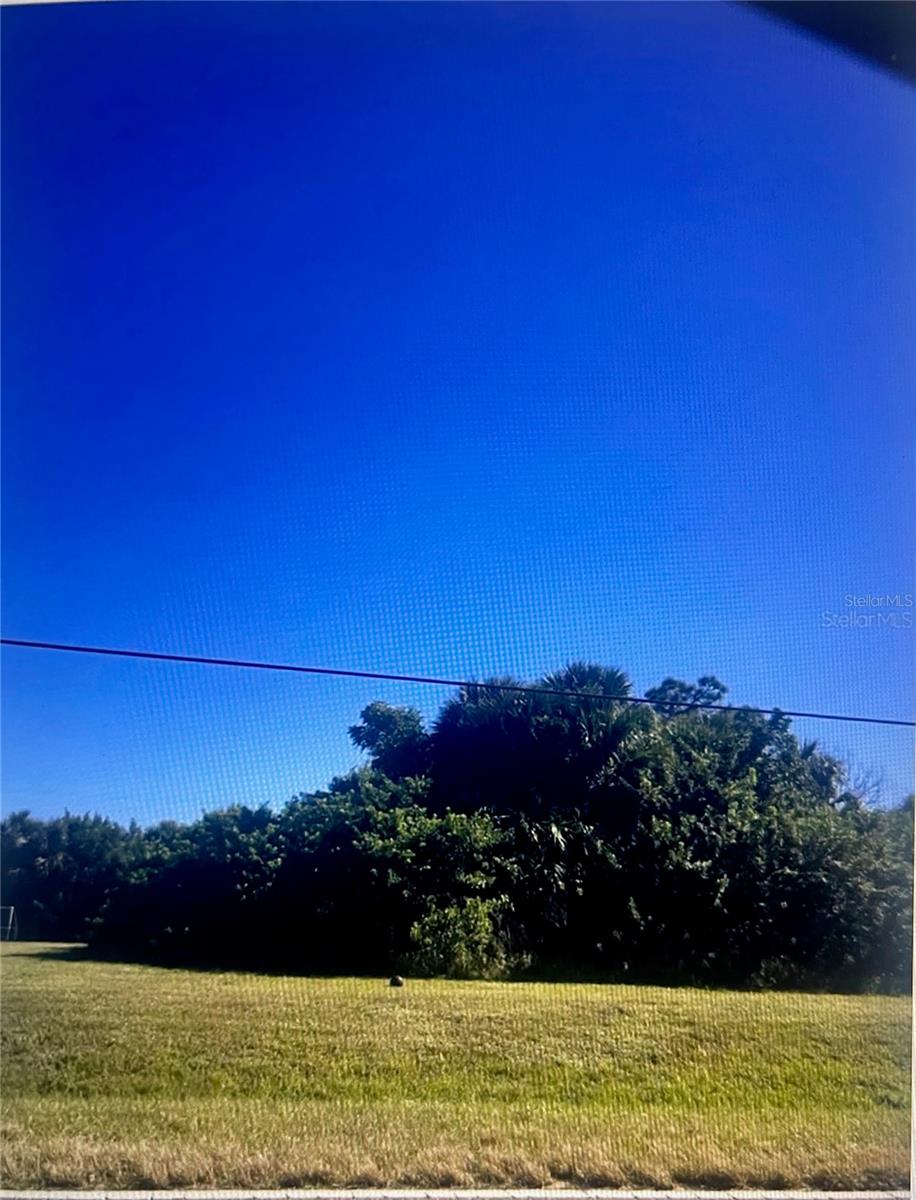 ORTIZ BLVD - Photo 1