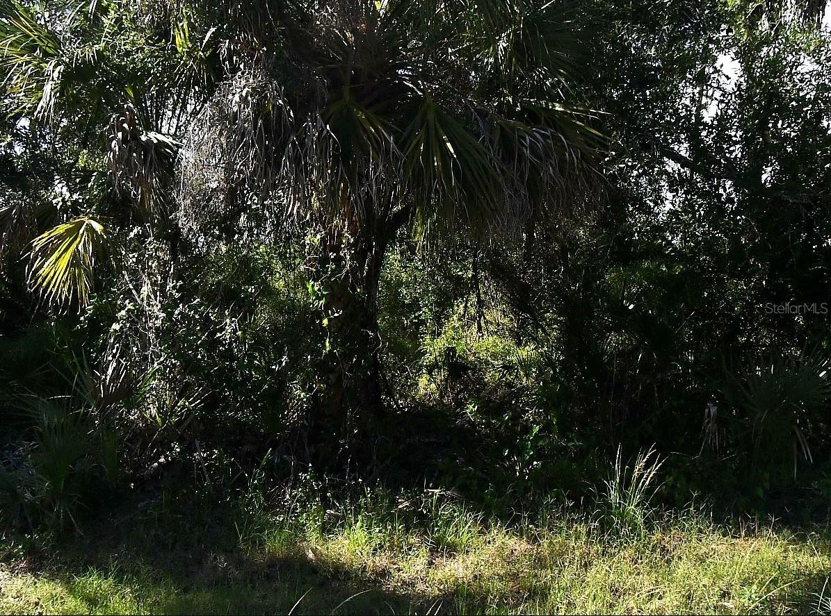 DESCO RD - Photo 1