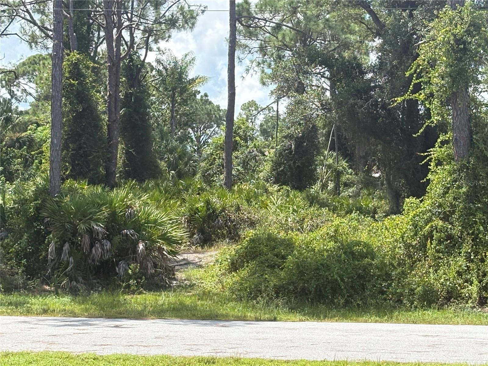 RENAULT CIR N - Photo 1