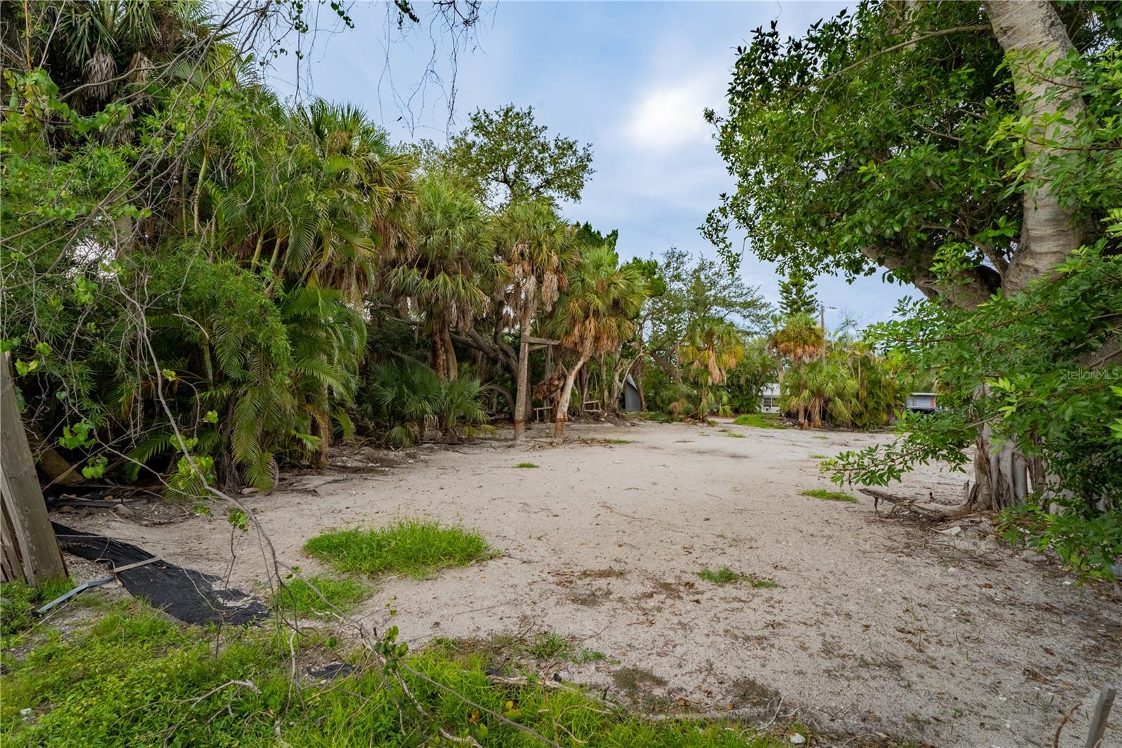 5323 CALLE FLORIDA - Photo 1