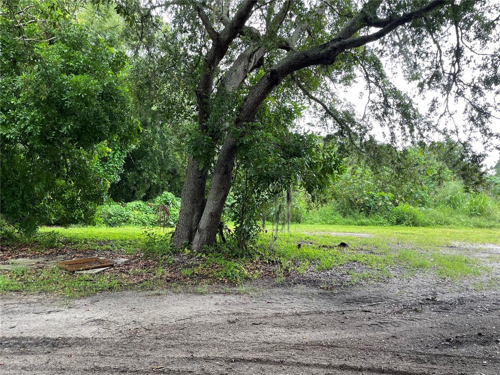 ALBEE FARM RD - Photo 1