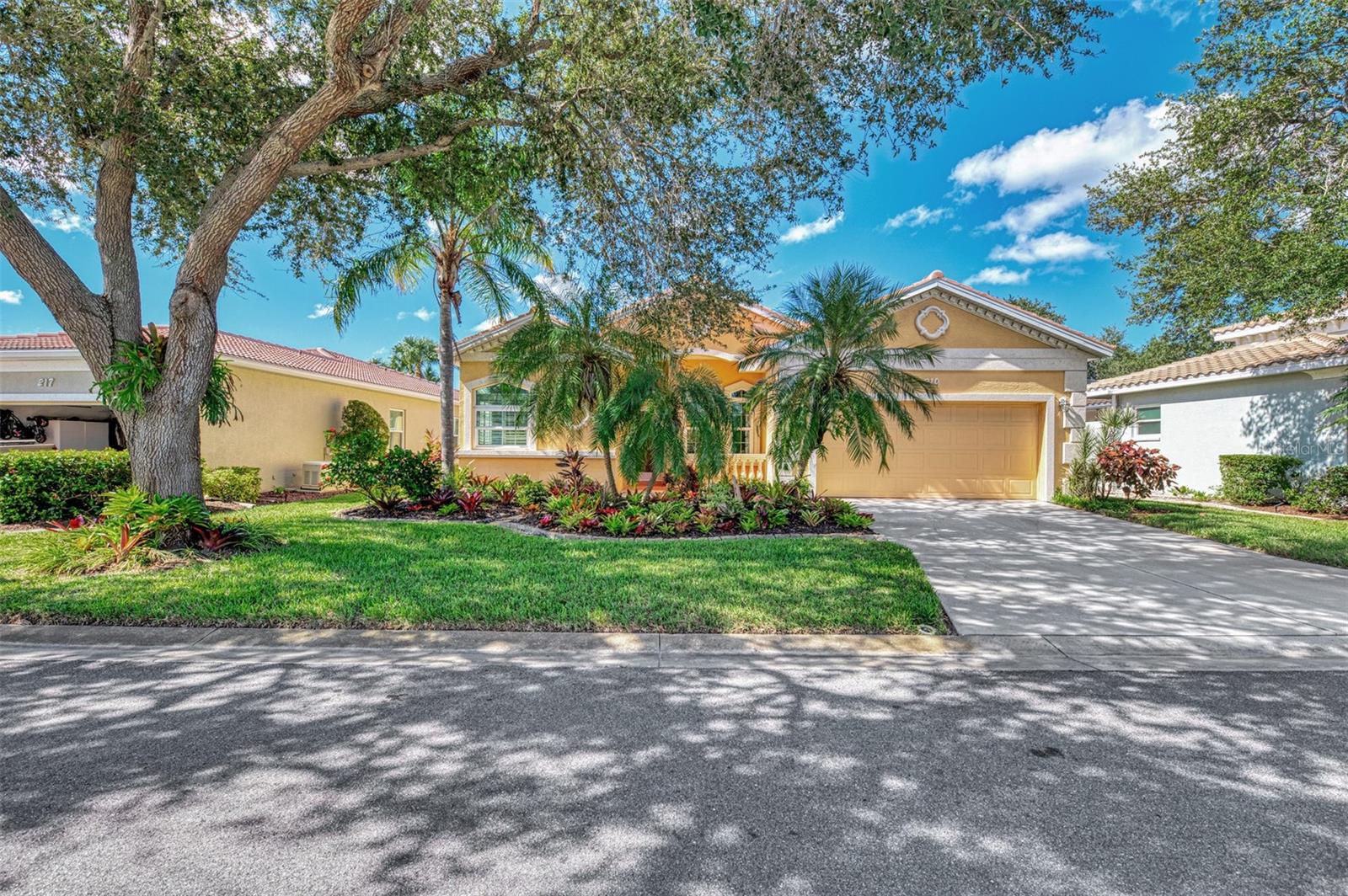 219 RIO TERRA - Photo 1