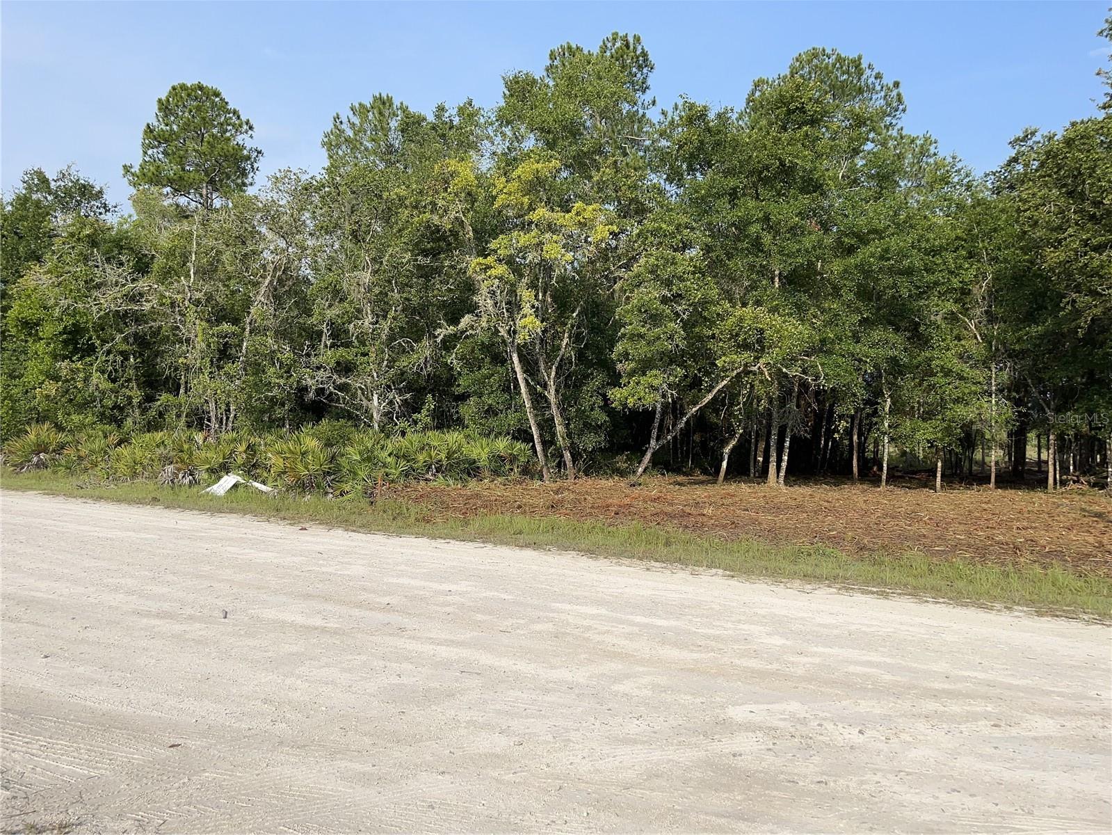 7123 GLENCHESTER DR - Photo 1