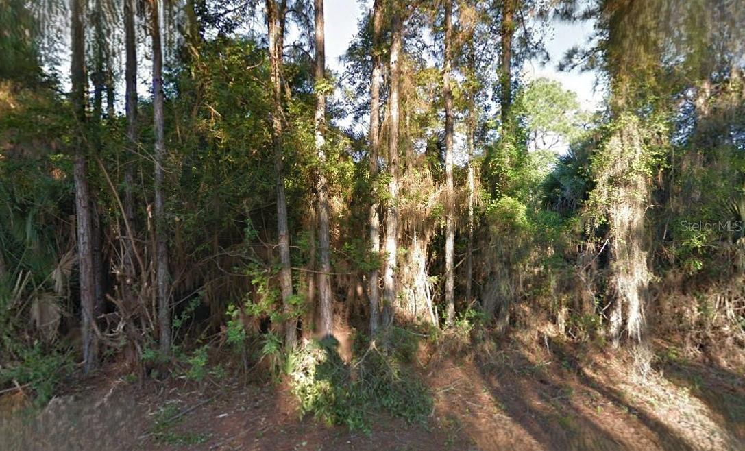LUTZ RD - Photo 1