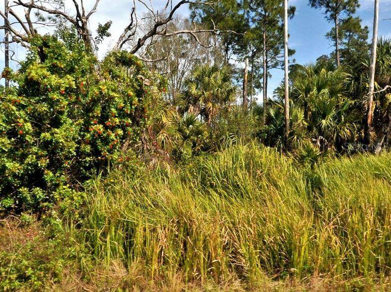 FIREBIRD RD - Photo 1
