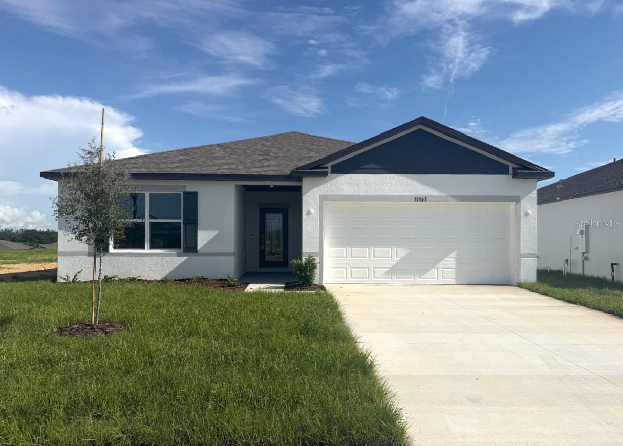 31563 WILD GRAPE LN - Photo 1