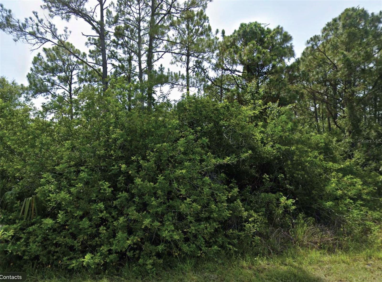 FLAMBEAU AVE - Photo 1