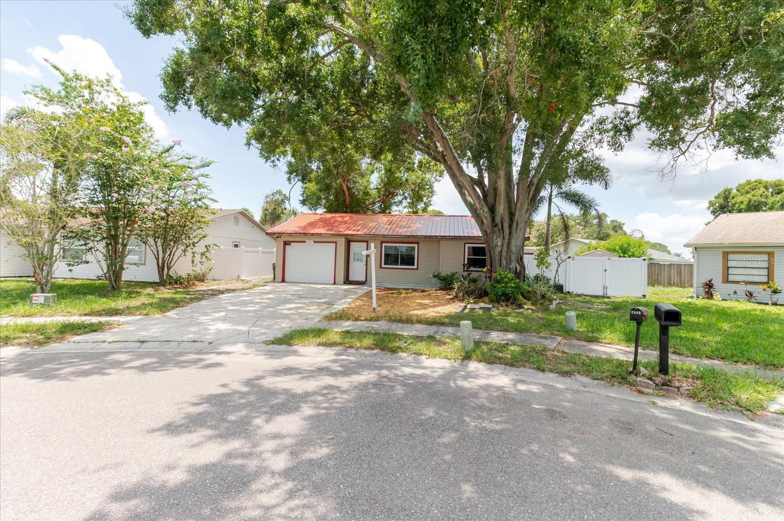 2009 PEPPERTREE CT - Photo 1