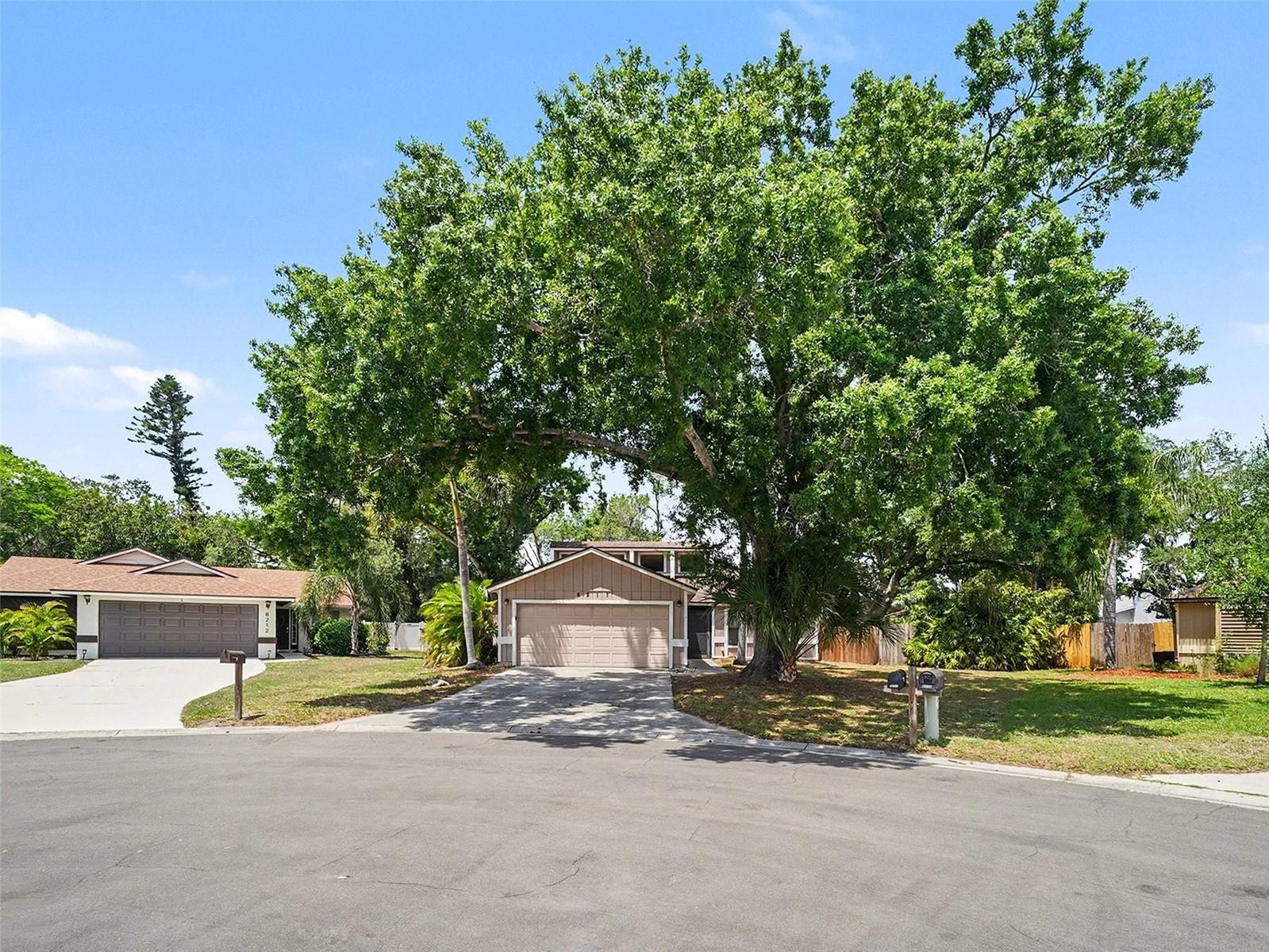 8211 COUNTRY OAKS CT - Photo 1
