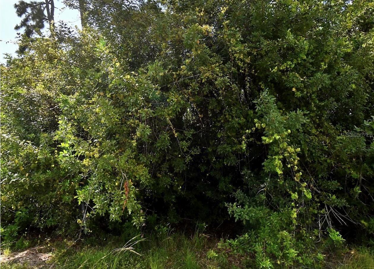 MAP AVE - Photo 1