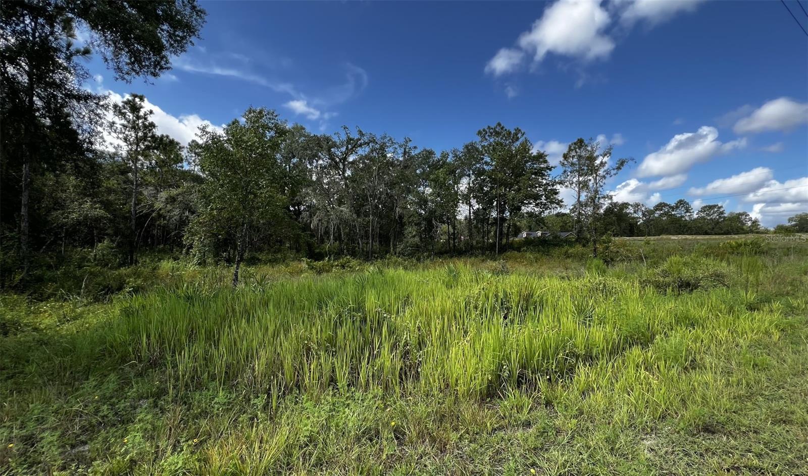 7398 WAGERS DR - Photo 1