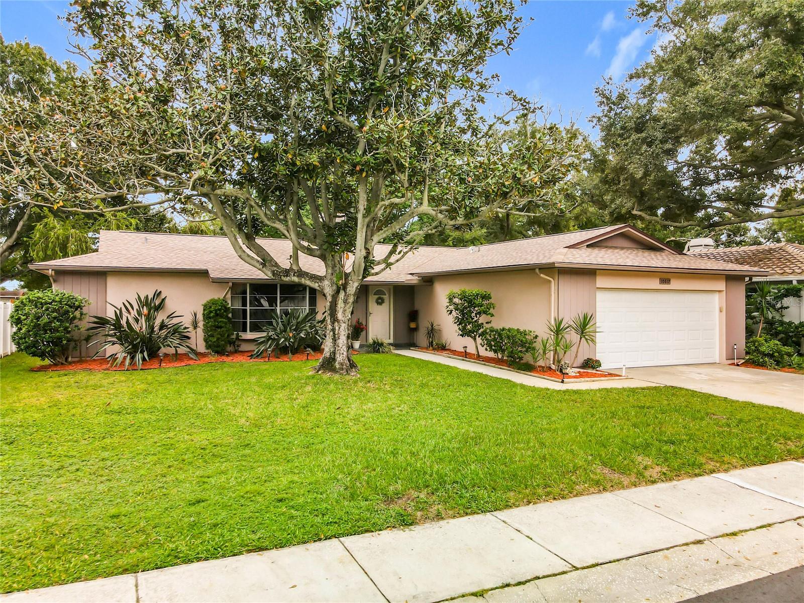 10617 SEMINOLE FOREST ST E - Photo 1