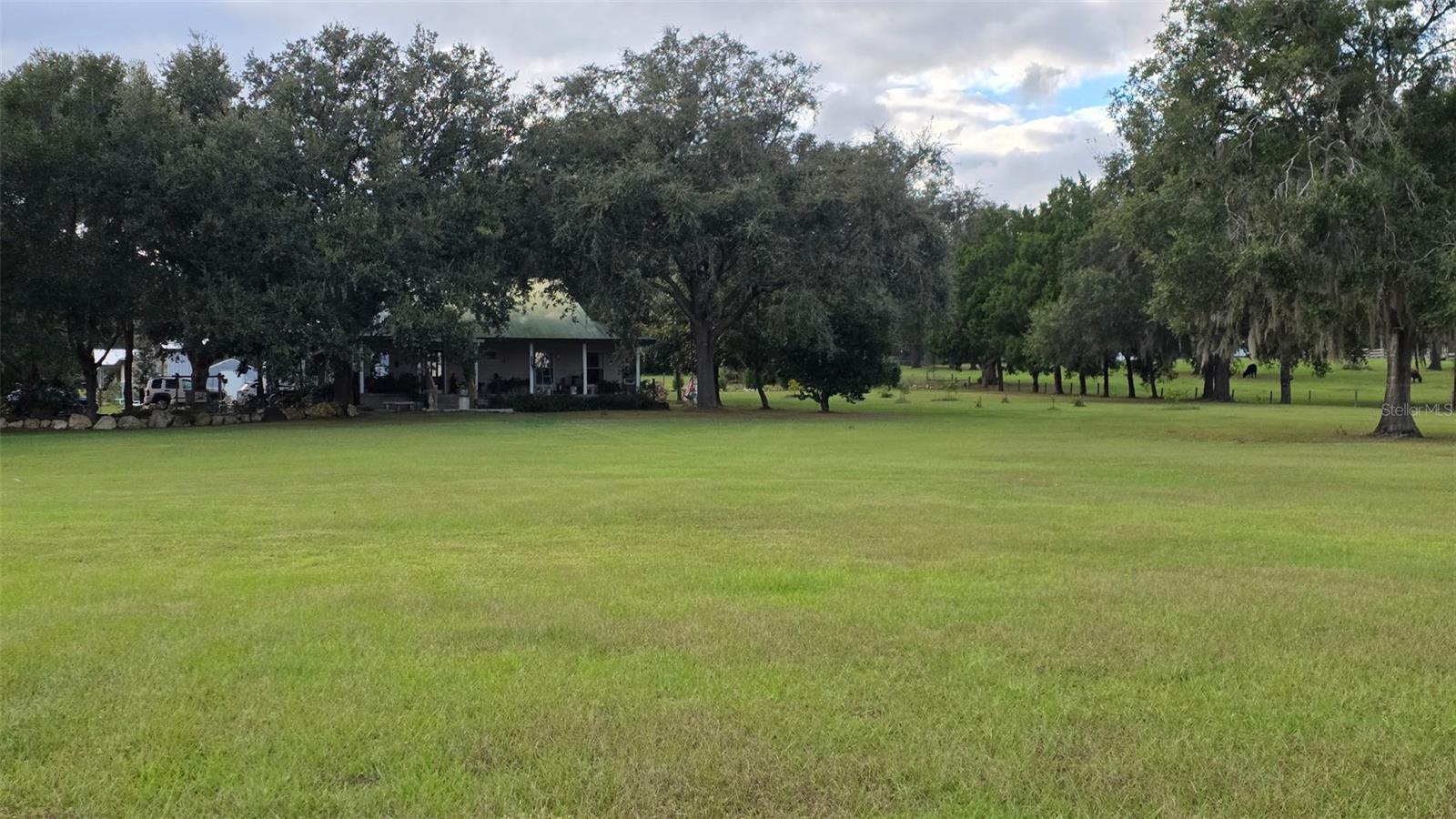 31915 TRILBY RD - Photo 1