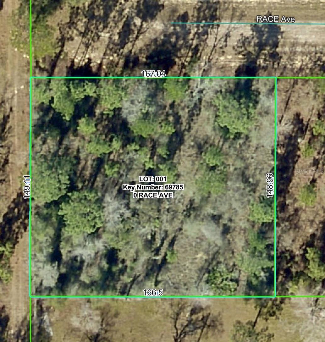14056 RACE AVE - Photo 1