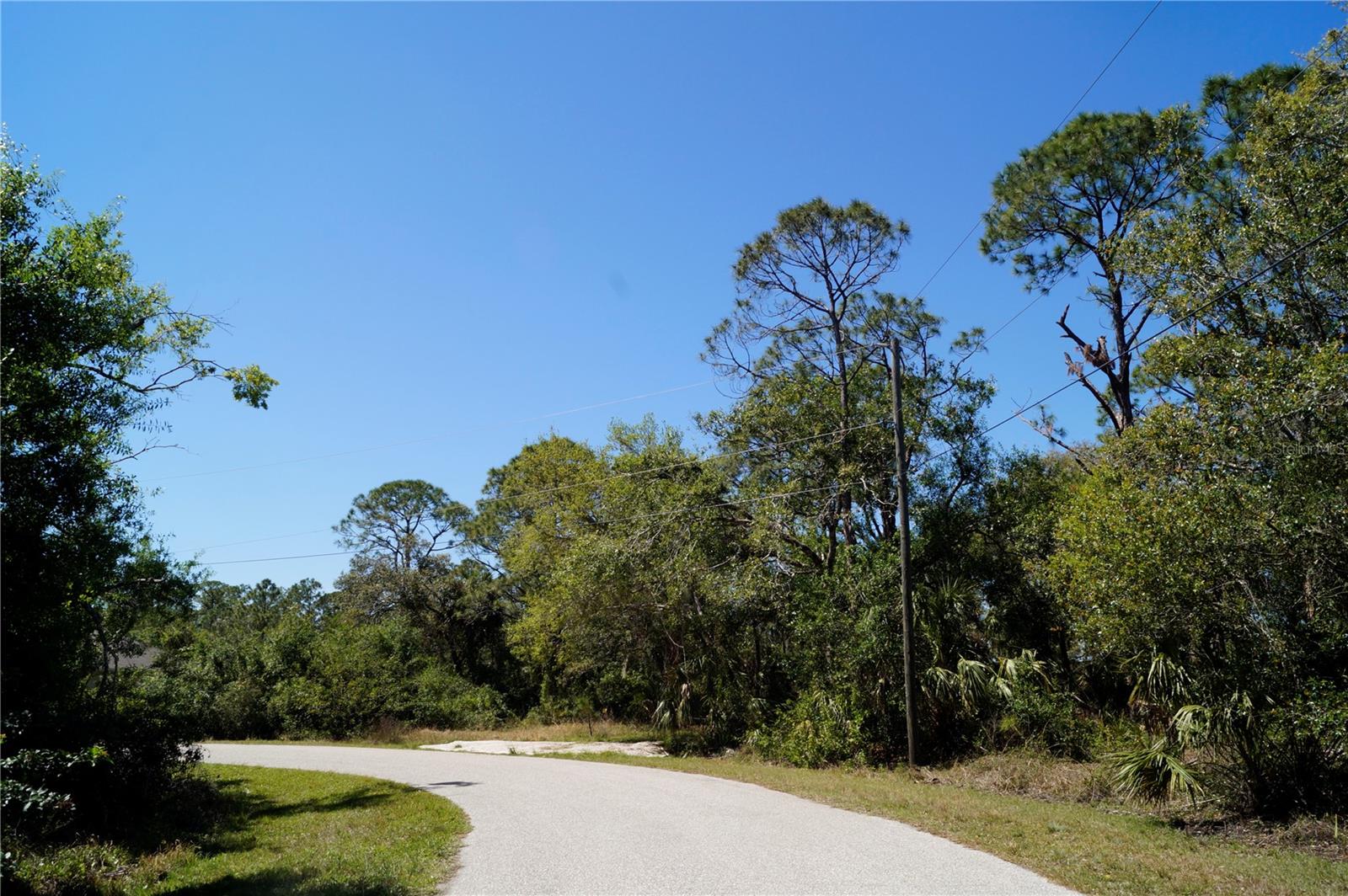 8370 CHORLEY AVE - Photo 1