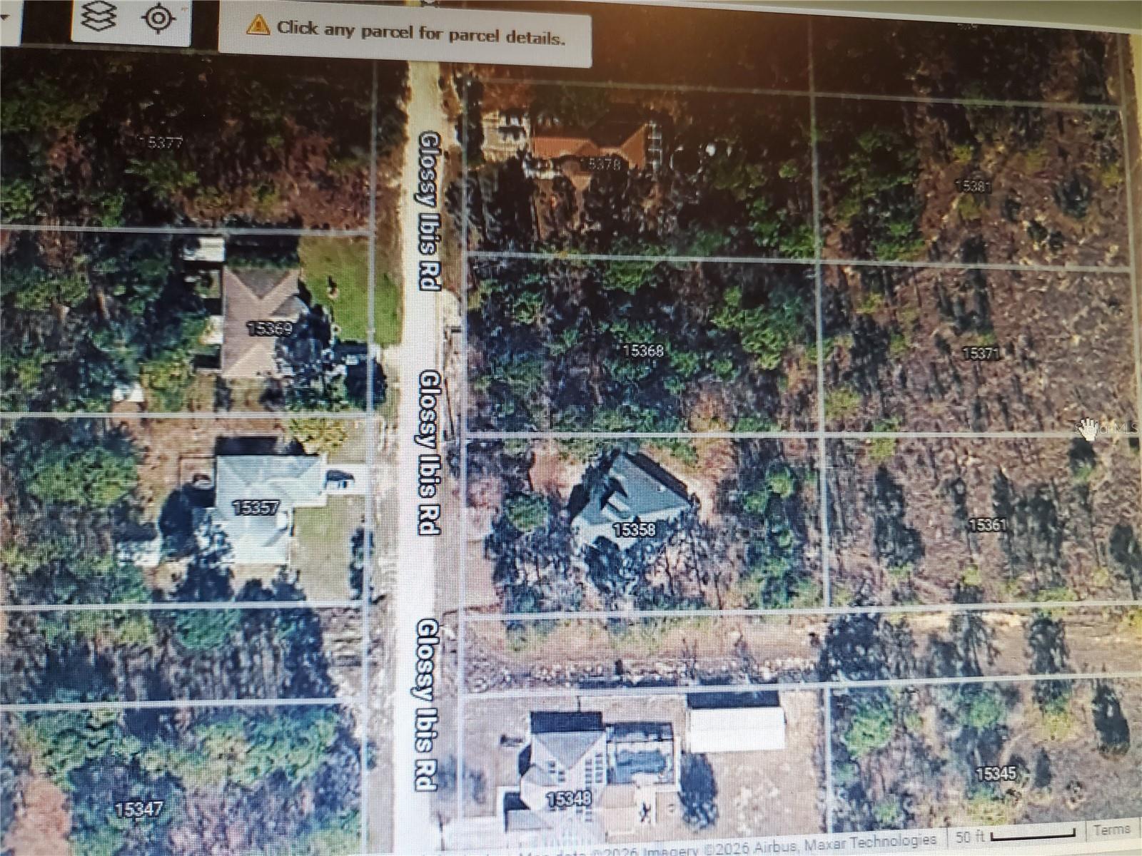15368 GLOSSY IBIS RD - Photo 1