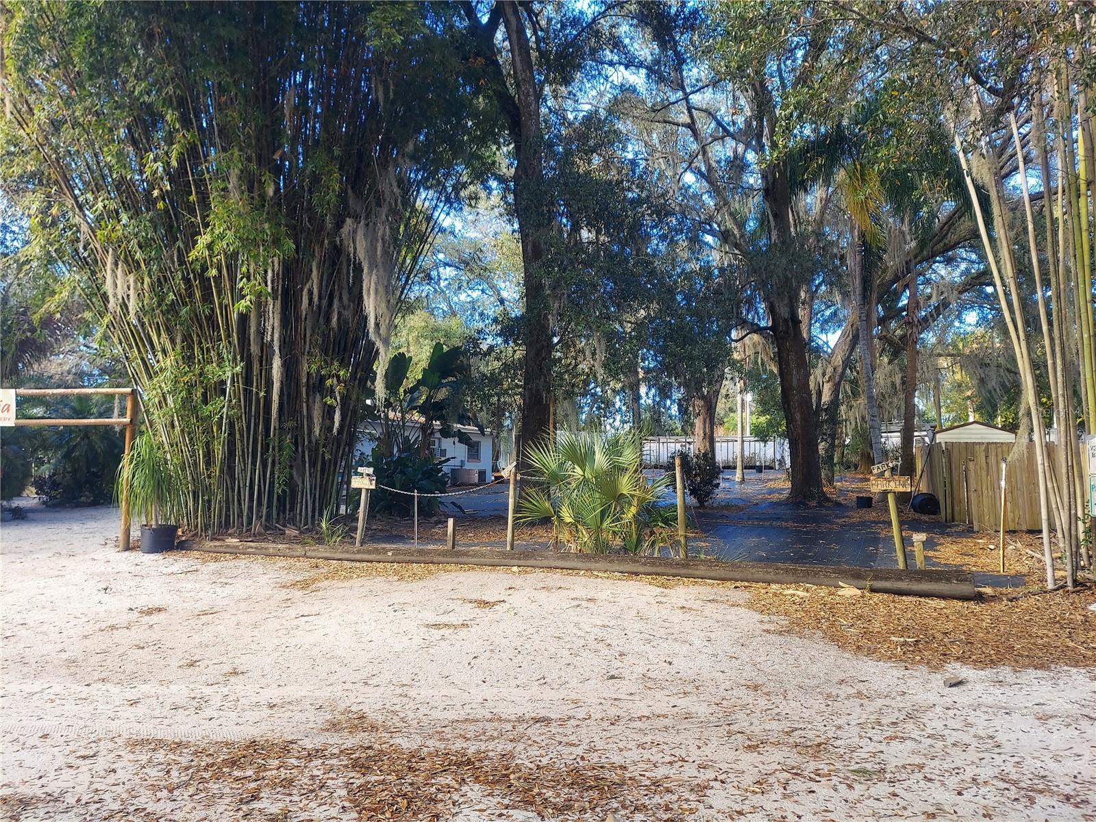 453 W DR MARTIN LUTHER KING JR BLVD - Photo 1