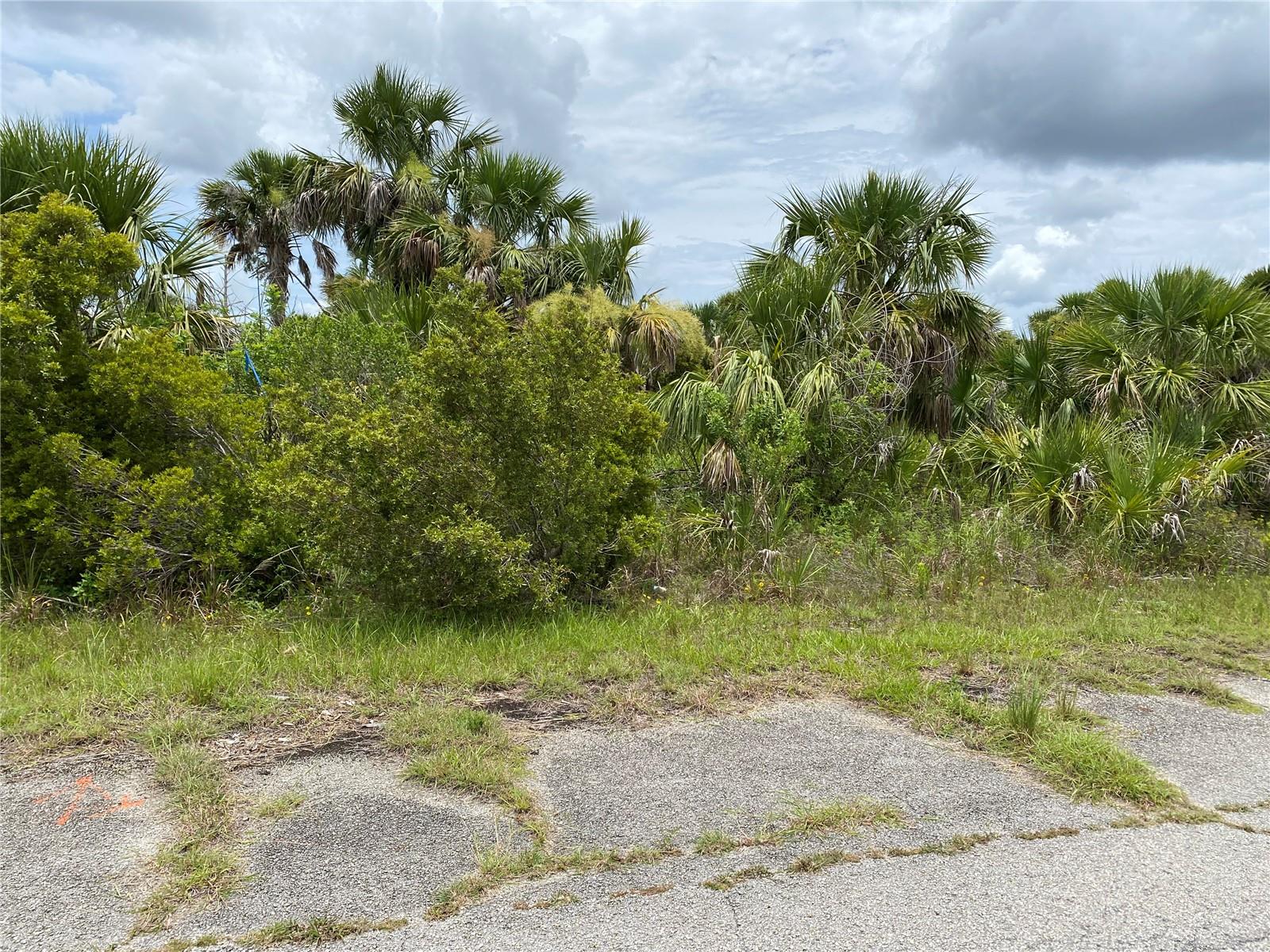 KIMBERLY DR - Photo 1
