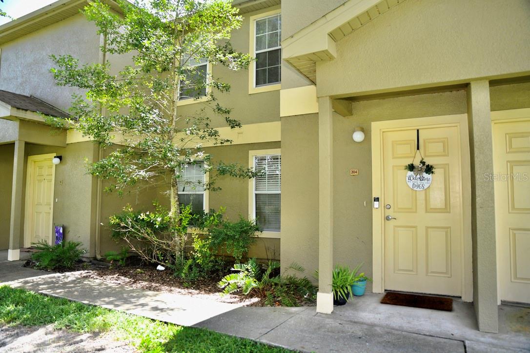 36121 LAKE CHASE BLVD #204 - Photo 1
