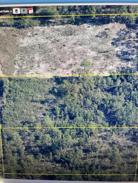 Property at 00 RAMSEY RD, Brooksville