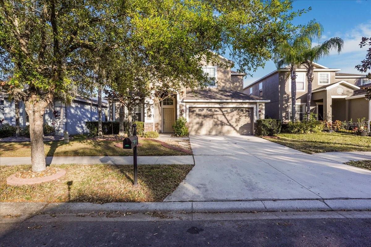 20427 CAROLINA CHERRY CT - Photo 1