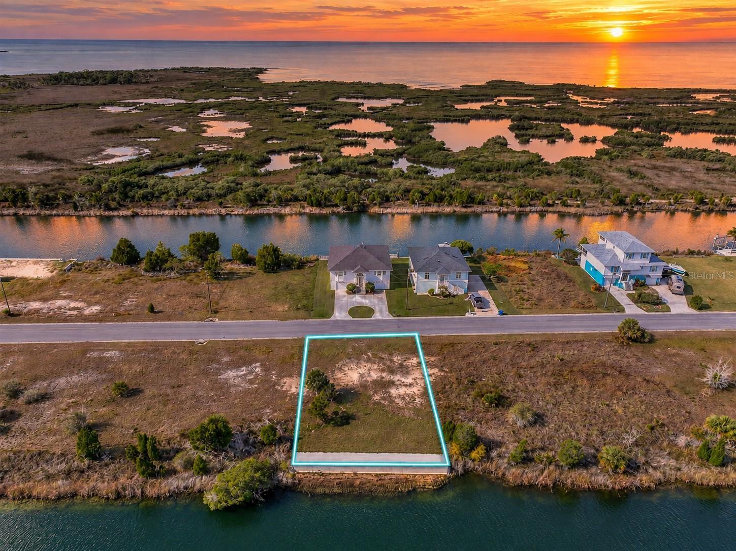 3266 LUGUSTRUM DR - Photo 1