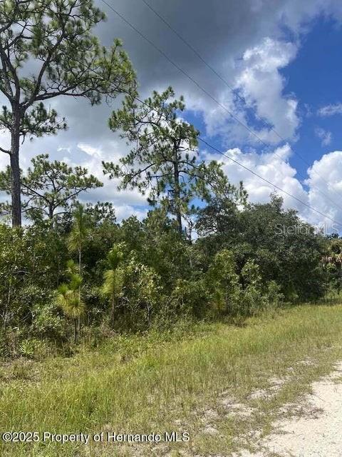 0 0 YELLOW FROG AVE - Photo 1