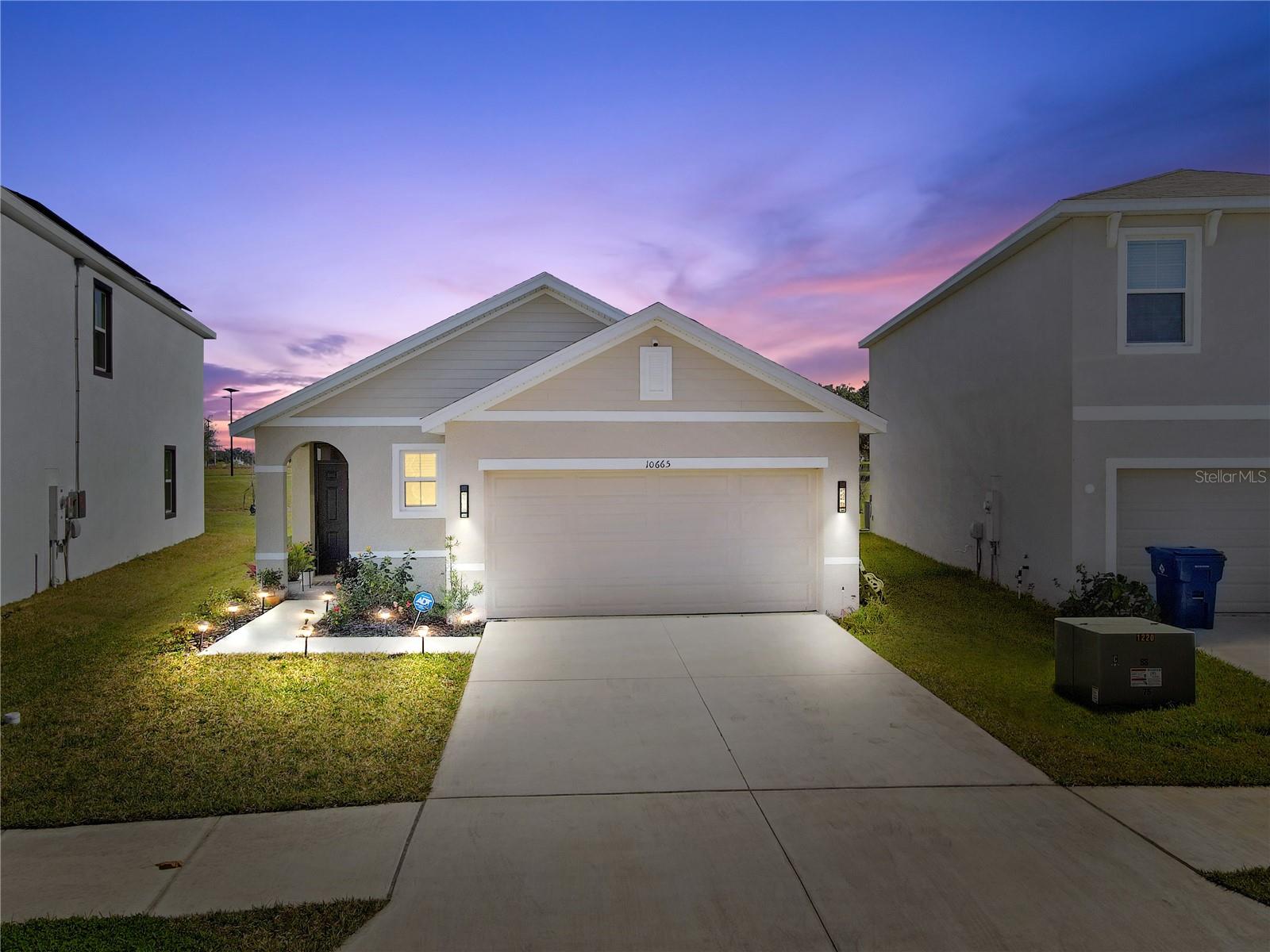 10665 PENNY GALE LOOP - Photo 1