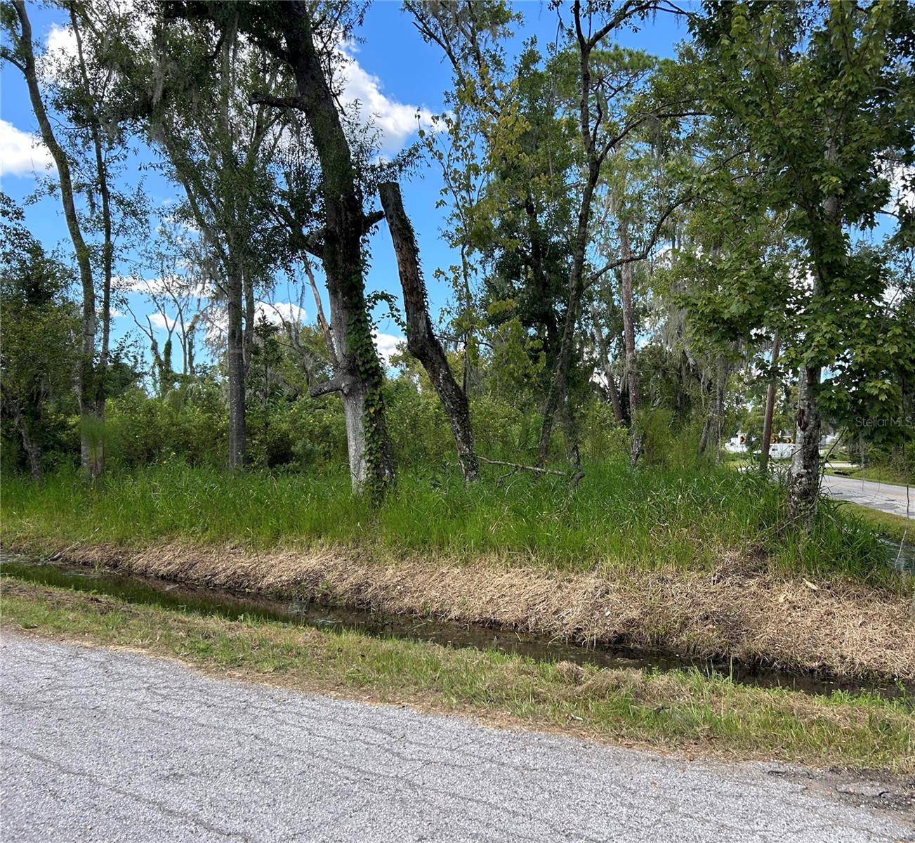 SEMINOLE LAKE BLVD & HICKMAN AVE - Photo 1