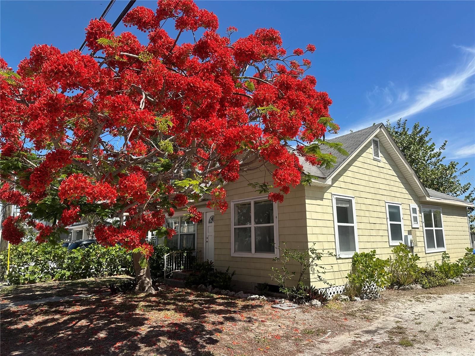 8405 BAYSHORE DR - Photo 1