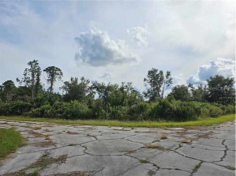 Lot 1 HINSHAW AVE - Photo 1