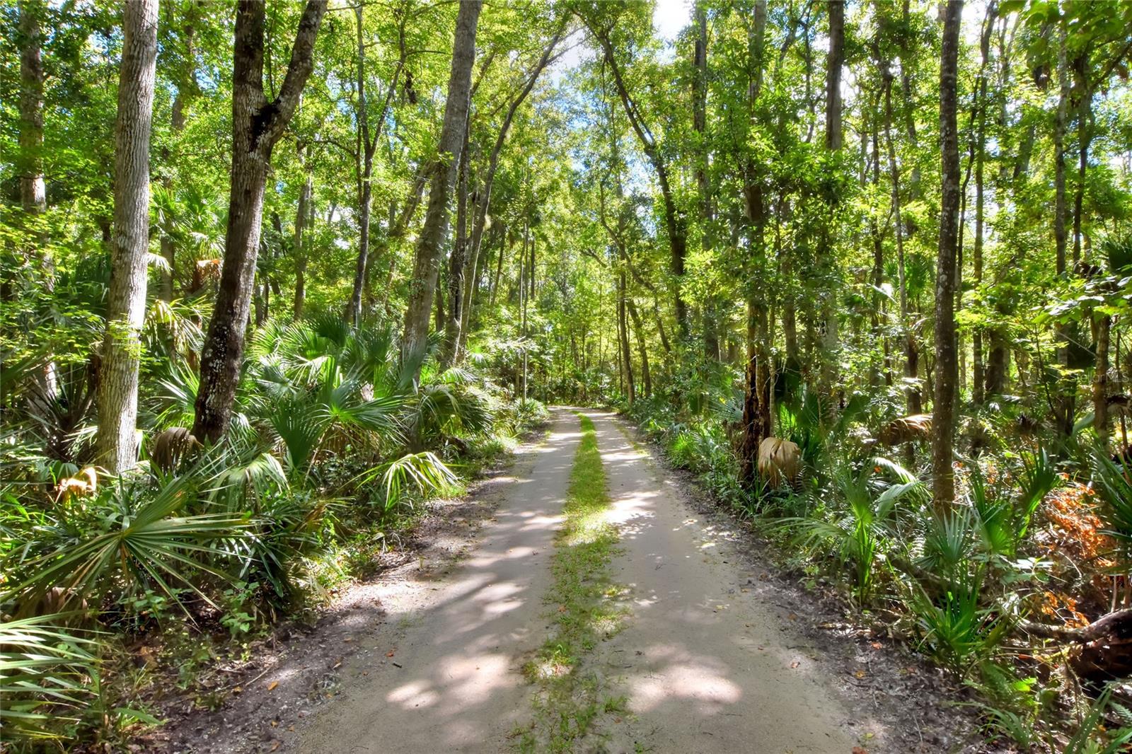 PINE ISLAND DR - Photo 1