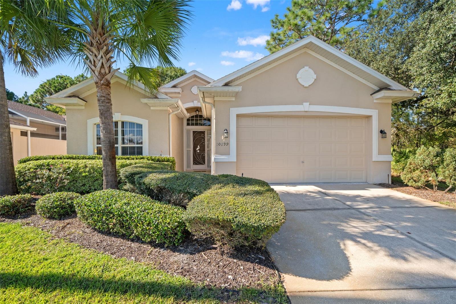 10199 HOLLY BERRY DR - Photo 1