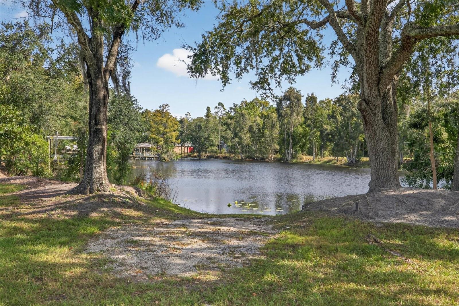 3926 COVE LAKE PL - Photo 1