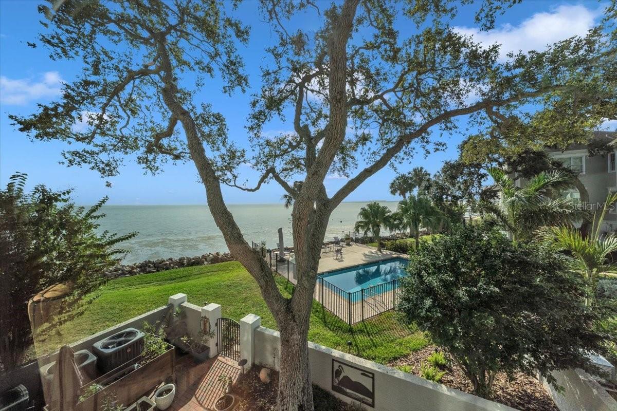 6212 BAYSHORE BLVD #K - Photo 1