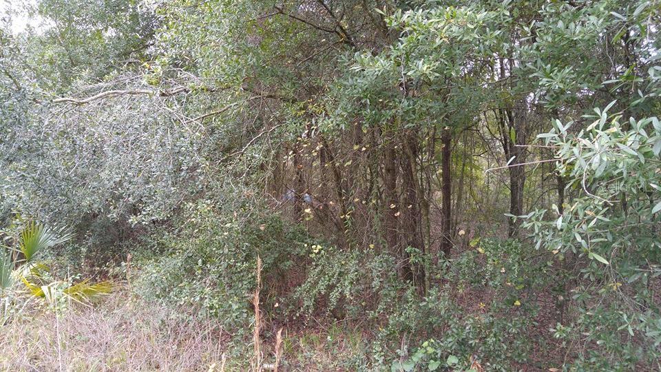Property at ROLLING MEADOW, Land O Lakes
