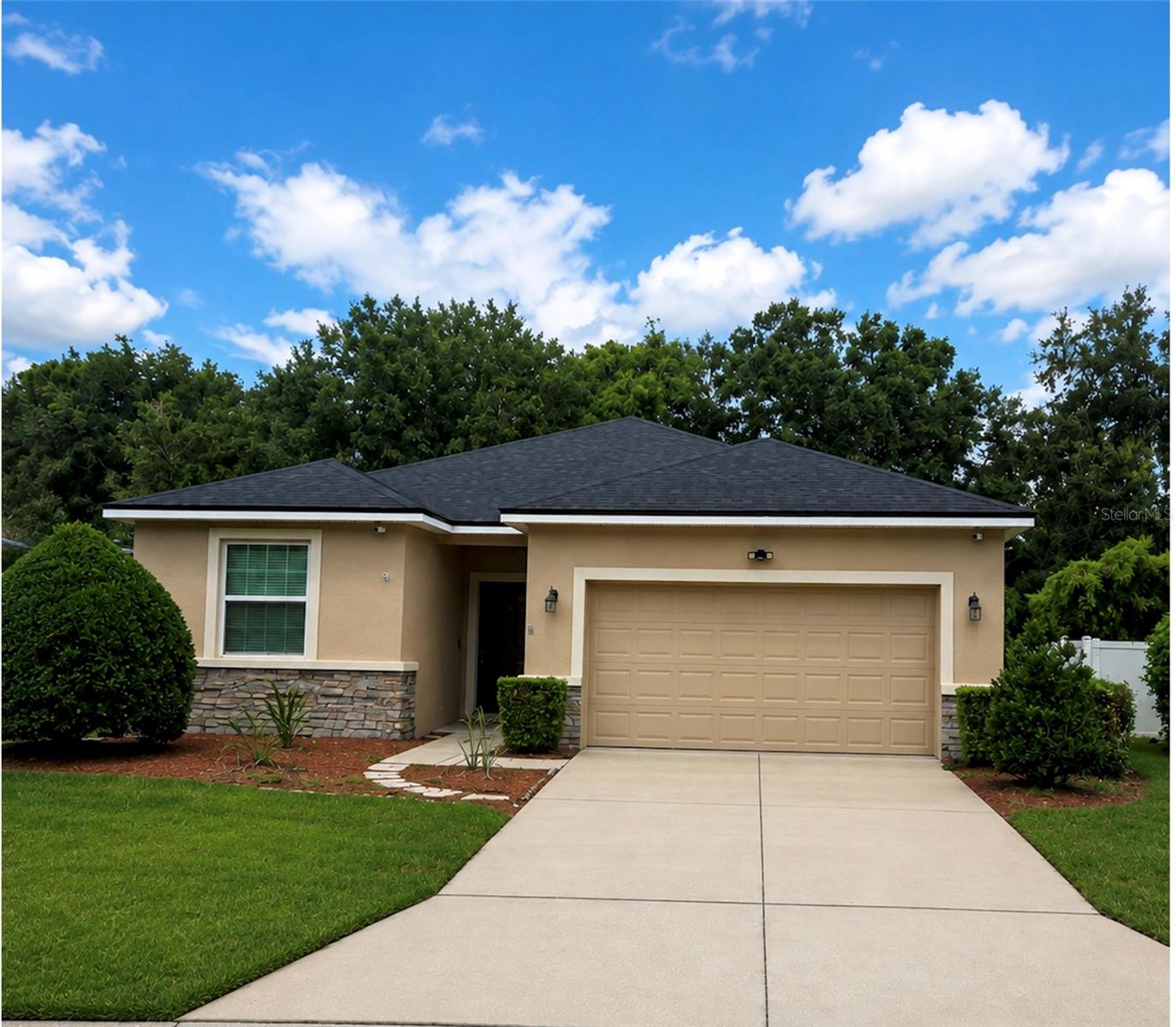 2819 HOLLY BLUFF CT - Photo 1