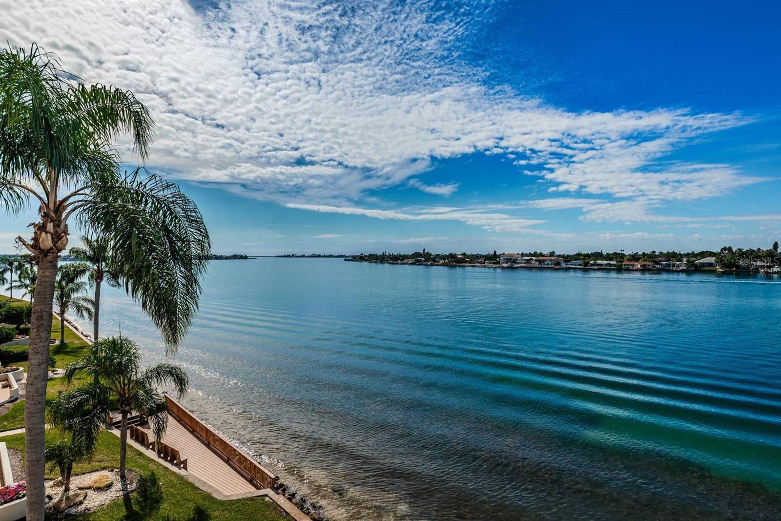 6083 BAHIA DEL MAR CIR #460 - Photo 1